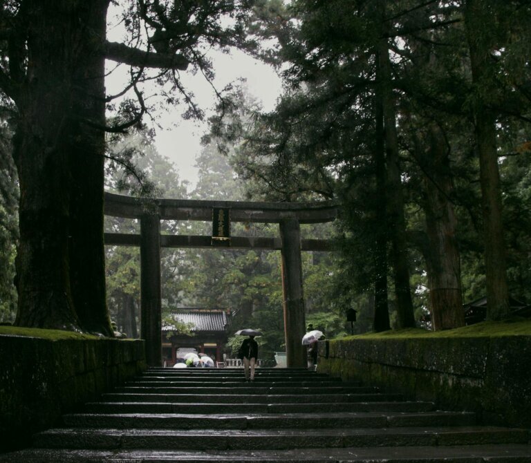 June in Japan A tranquil Shinto shrine entrance in a misty forest with visitors under umbrellas walking up stone steps.