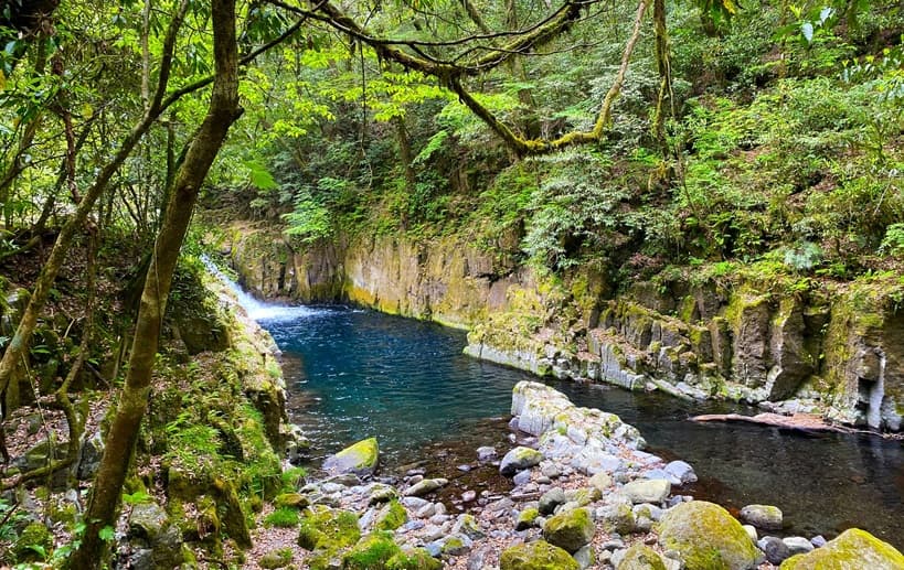 Kumamoto: Yamaga, Kikuchi and the Drive the Guidebooks Leave Out Kikuchi Gorge — cobalt-blue water over ancient stone in broadleaf forest, Kumamoto