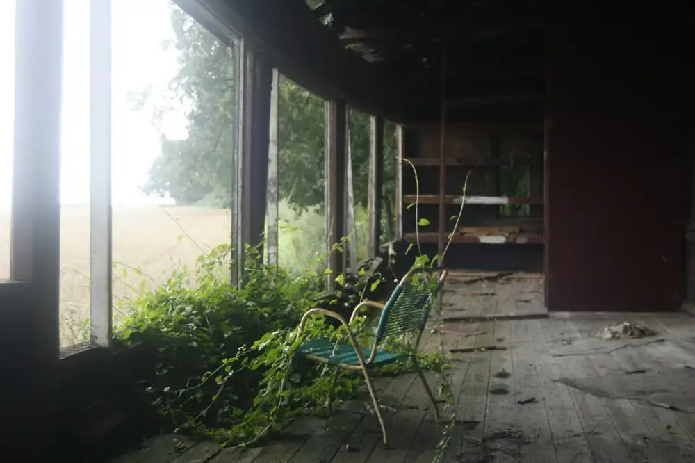 Valued at Zero: Why Japan's Old Houses Lose Their Worth, and Why Some Are Reclaiming It Abandoned wooden engawa veranda overtaken by summer greenery