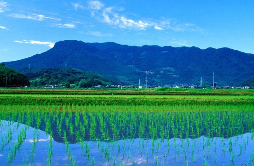 Yabakei, Oita: Guide to Kyushu's Most Layered Hidden Gorge Yabakei gorge cliffs and Yamakuni River, Oita Prefecture, Japan
