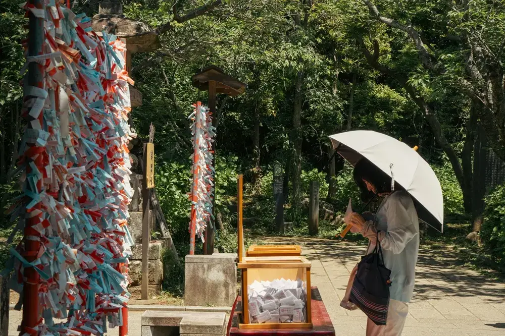 The Most Expensive Thing Japan Gives You for Free Omikuji fortune slips tied at a Japanese shrine