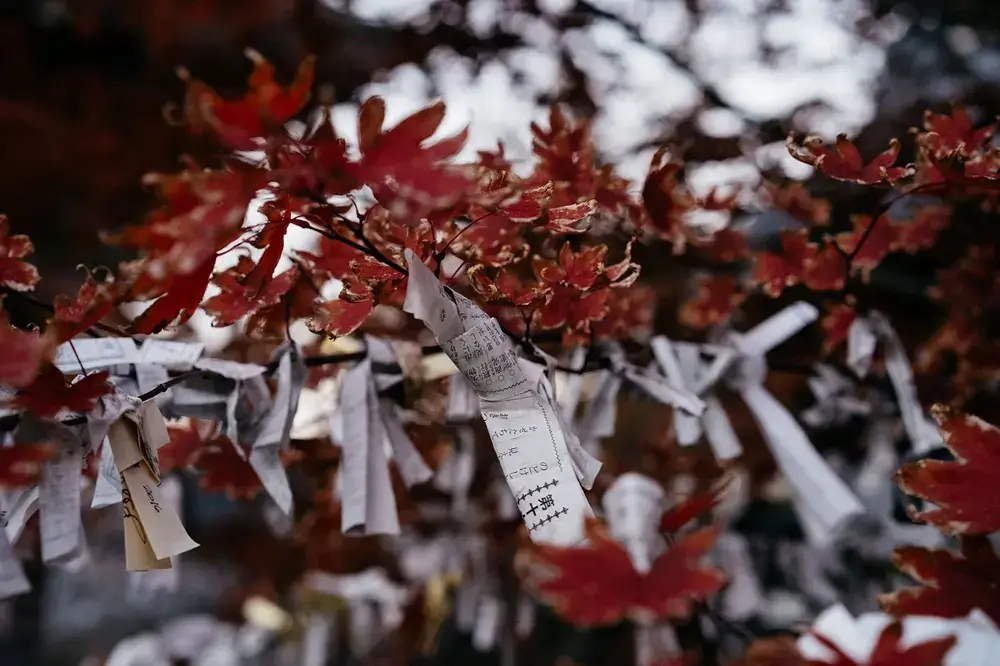 The Most Expensive Thing Japan Gives You for Free Hands in prayer at a Japanese shrine
