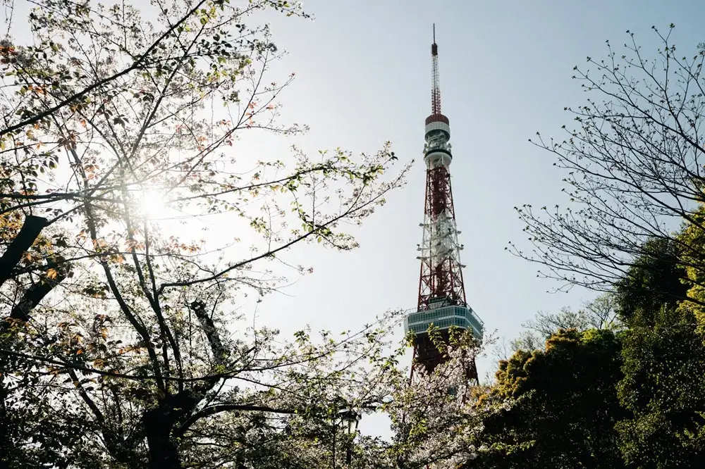 The Best Hotels in Tokyo for Families of Four (Without Compromising on Beds) Tokyo Tower rising among cherry blossoms and trees
