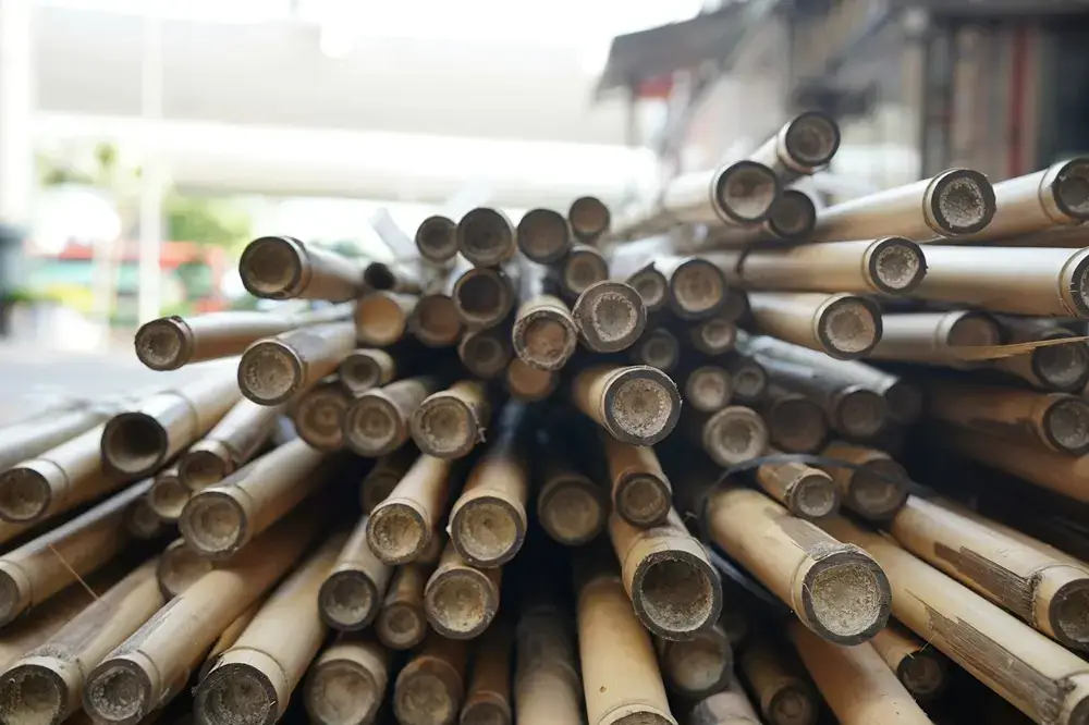 How to Choose an Authentic Japanese Chasen (And Why They're So Hard to Find) Cut bamboo stalks resting with open ends during aging