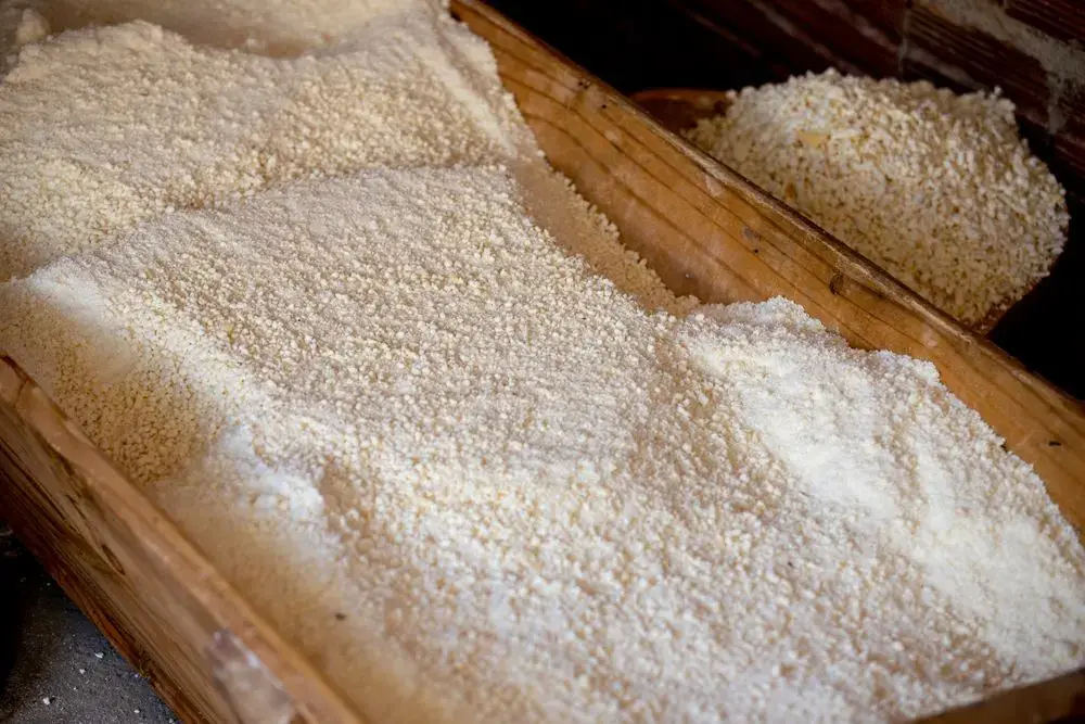 Centuries of Beauty Wisdom Meets Modern Science: Japanese Rice Bran Skincare Koji rice used in Japanese sake brewing