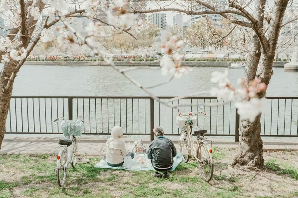 How Japan Thinks About Aging: Purpose, Roles, and the Meaning of Growing Older Older couple picnicking beside a river beneath autumn trees in Japan