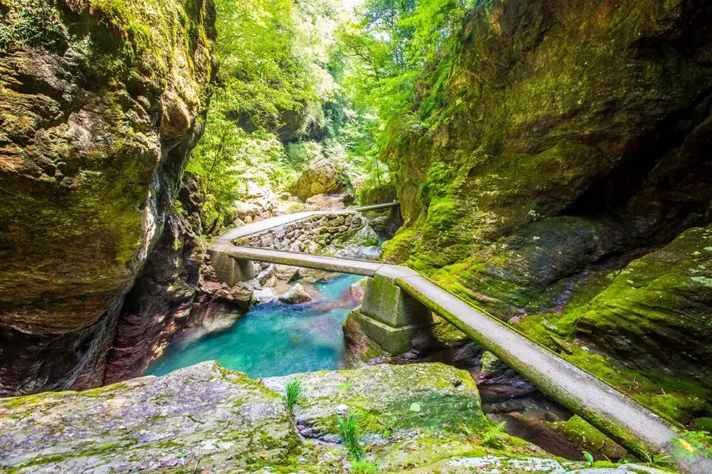 What Makes Shikoku Unique? Clear blue water and moss-covered rocks in Nakatsu Gorge, Kochi