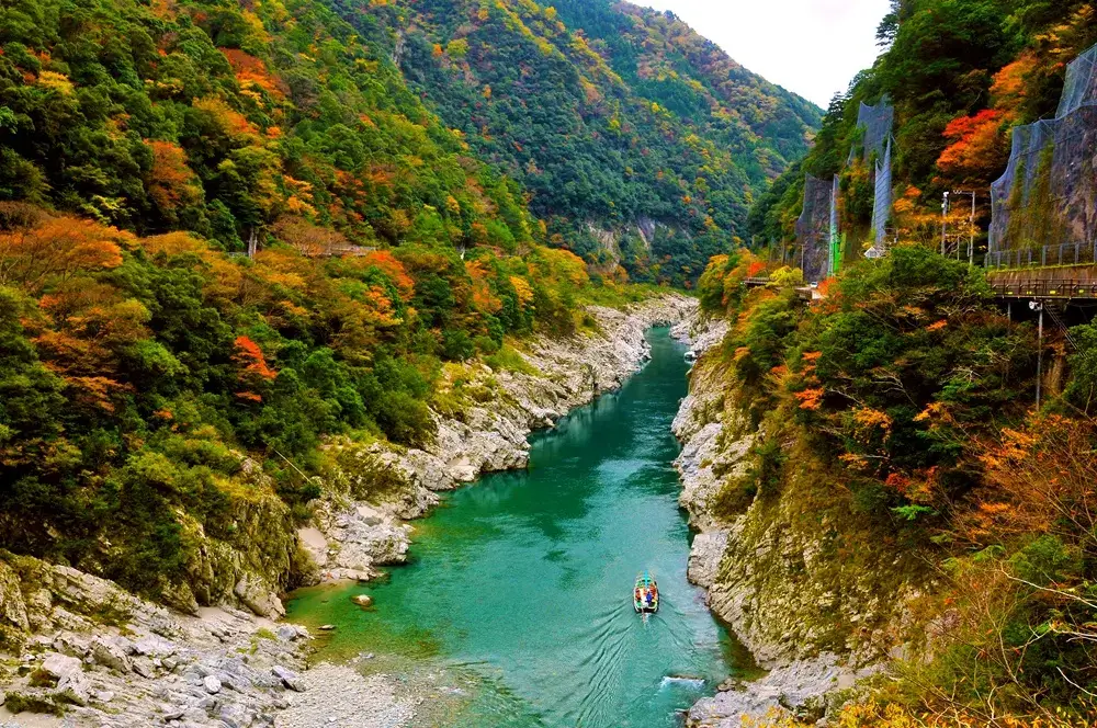 What Makes Shikoku Unique? Oboke Gorge in autumn with the Yoshino River flowing between steep forested mountains in Tokushima